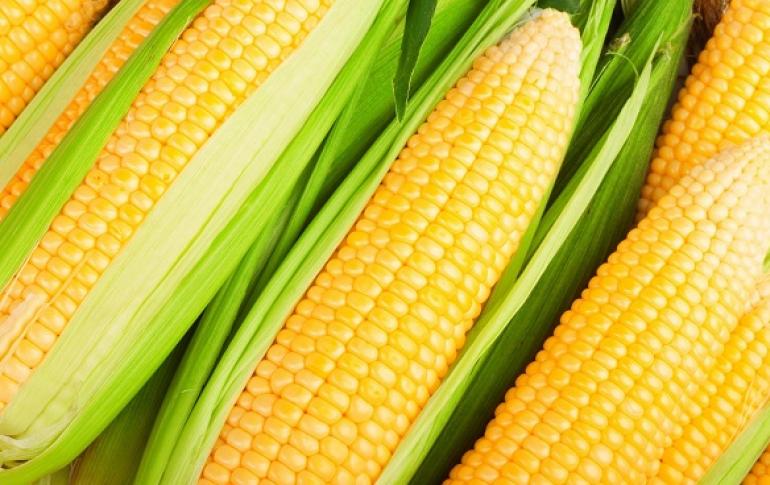 К чему снится кукуруза консервированная