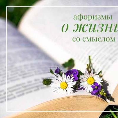 Цитаты о моей жизни. Смысл жизни. Очень маленькие рассказики-притчи о жизни